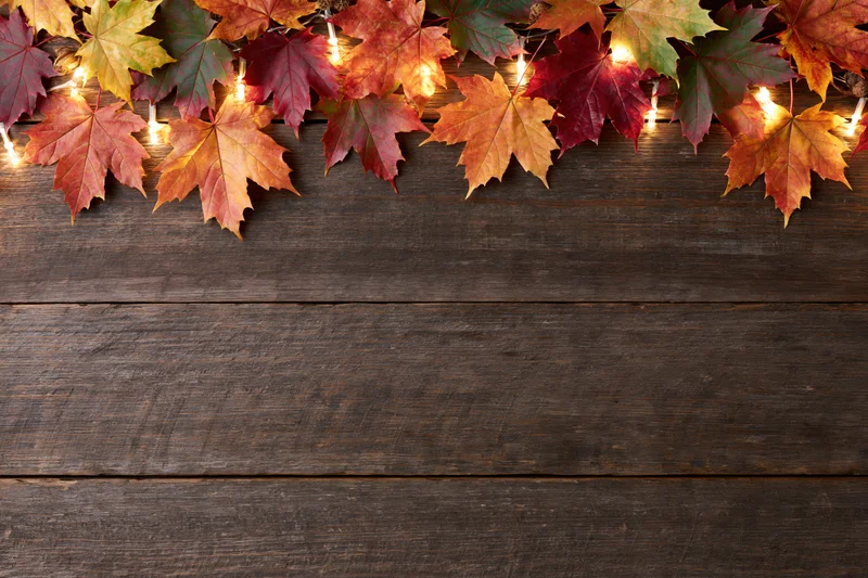 Autumn maple leaves arranged in a border with string lights on a dark wooden surface