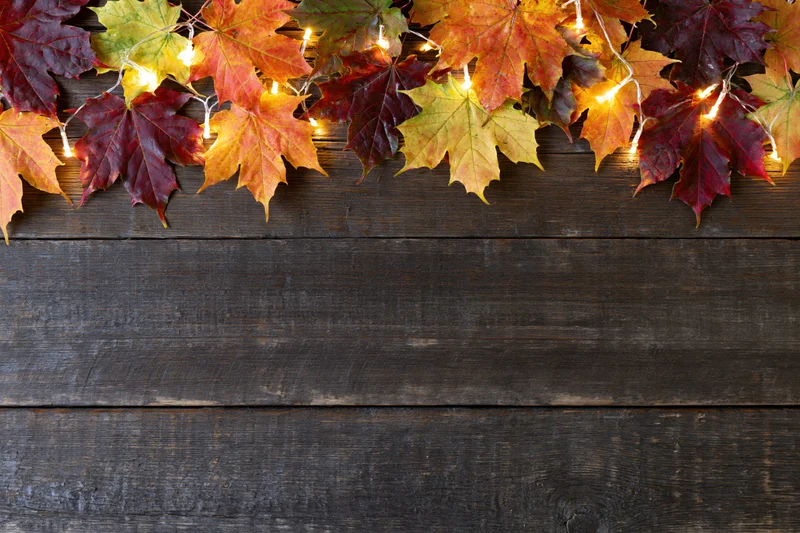 Autumn maple leaves arranged in a garland with string lights on dark wooden surface