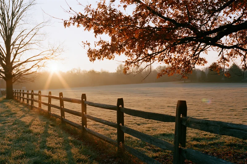 Autumn tree with orange and rust leaves overhanging a wooden fence along a frosty field at sunrise