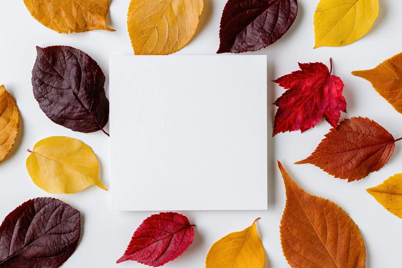 Blank white square card centered on a flat lay arrangement of colorful autumn leaves on white surface