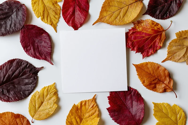 Blank white square card centered on a flat lay of colorful autumn leaves on white surface