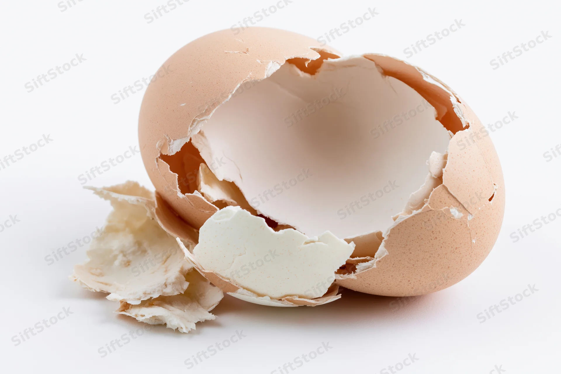 Broken chicken eggshell split into jagged pieces on white background