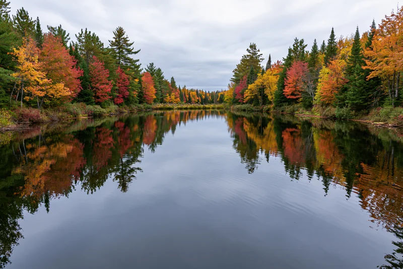 Calm river reflecting autumn foliage along forested banks