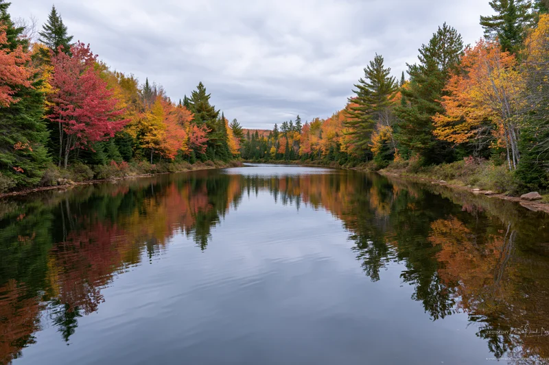 Calm narrow river reflecting autumn foliage along forested banks