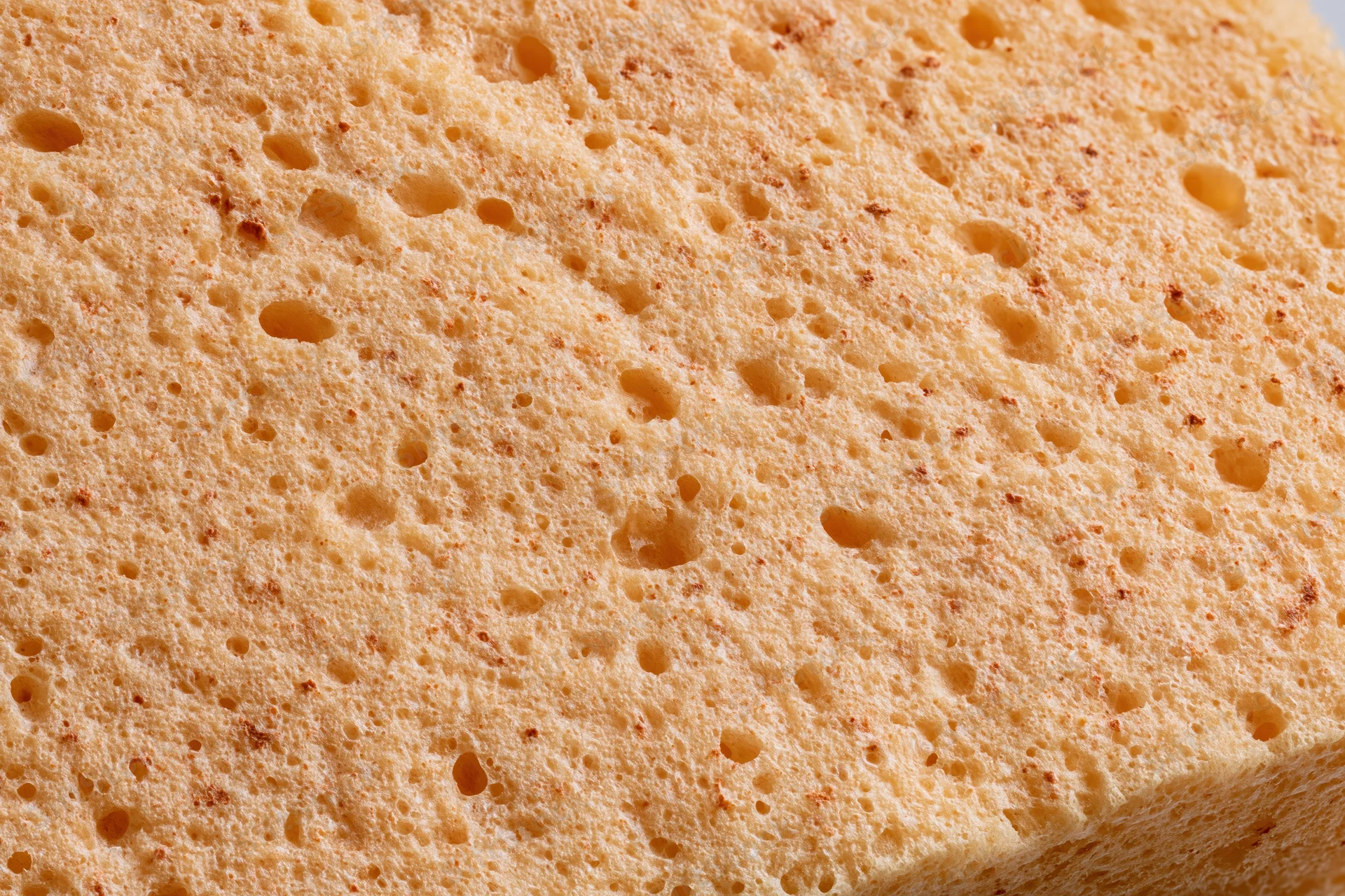 Close-up of natural sponge surface texture filling the frame