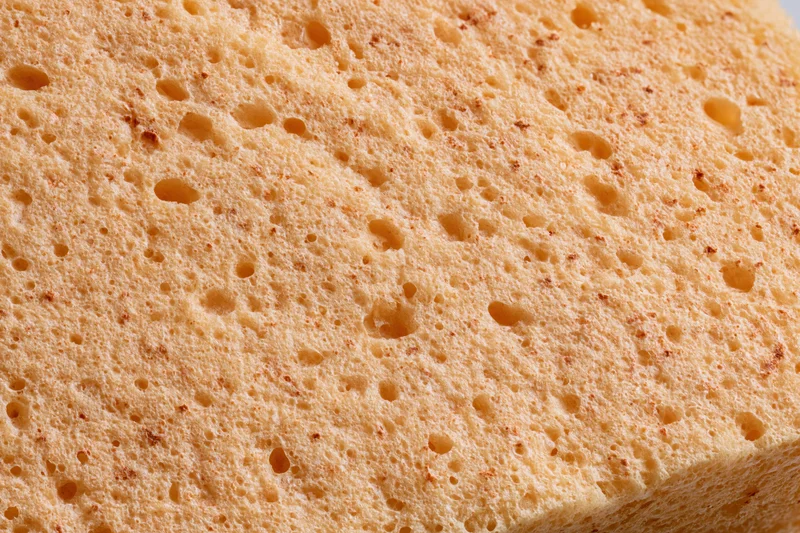 Close-up of natural sponge surface texture filling the frame