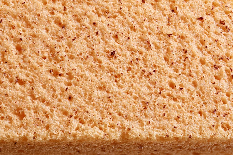 Close-up of natural sponge surface texture filling the frame