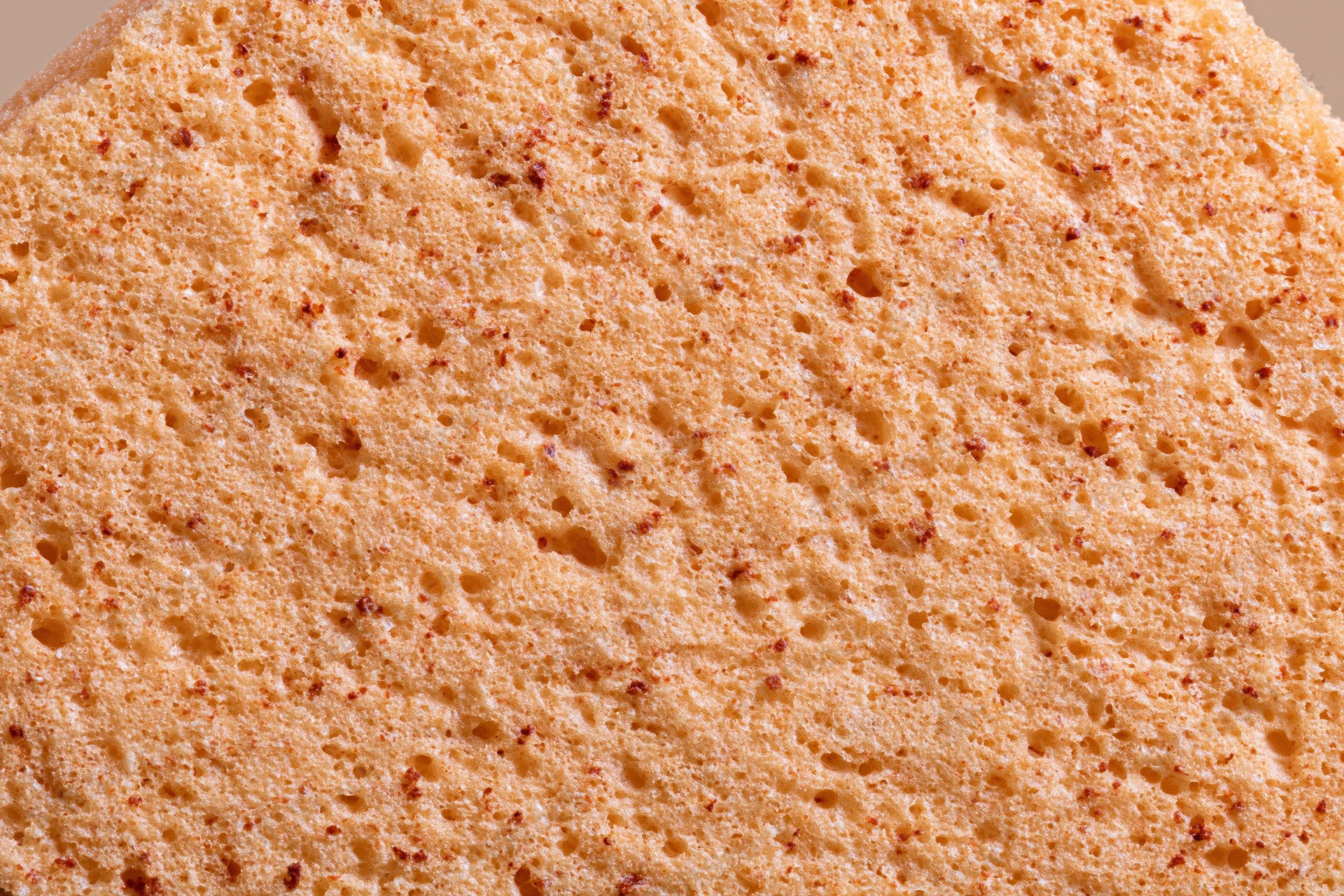 Close-up of natural sponge surface texture filling the frame
