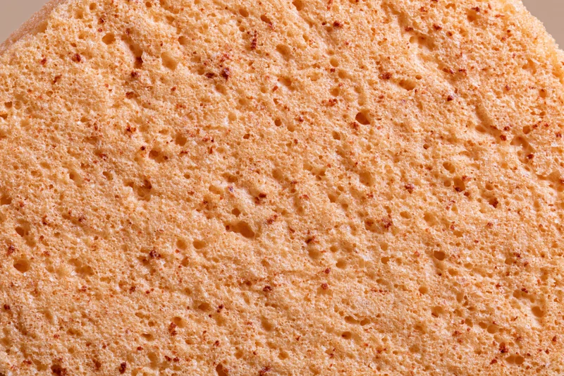 Close-up of natural sponge surface texture filling the frame