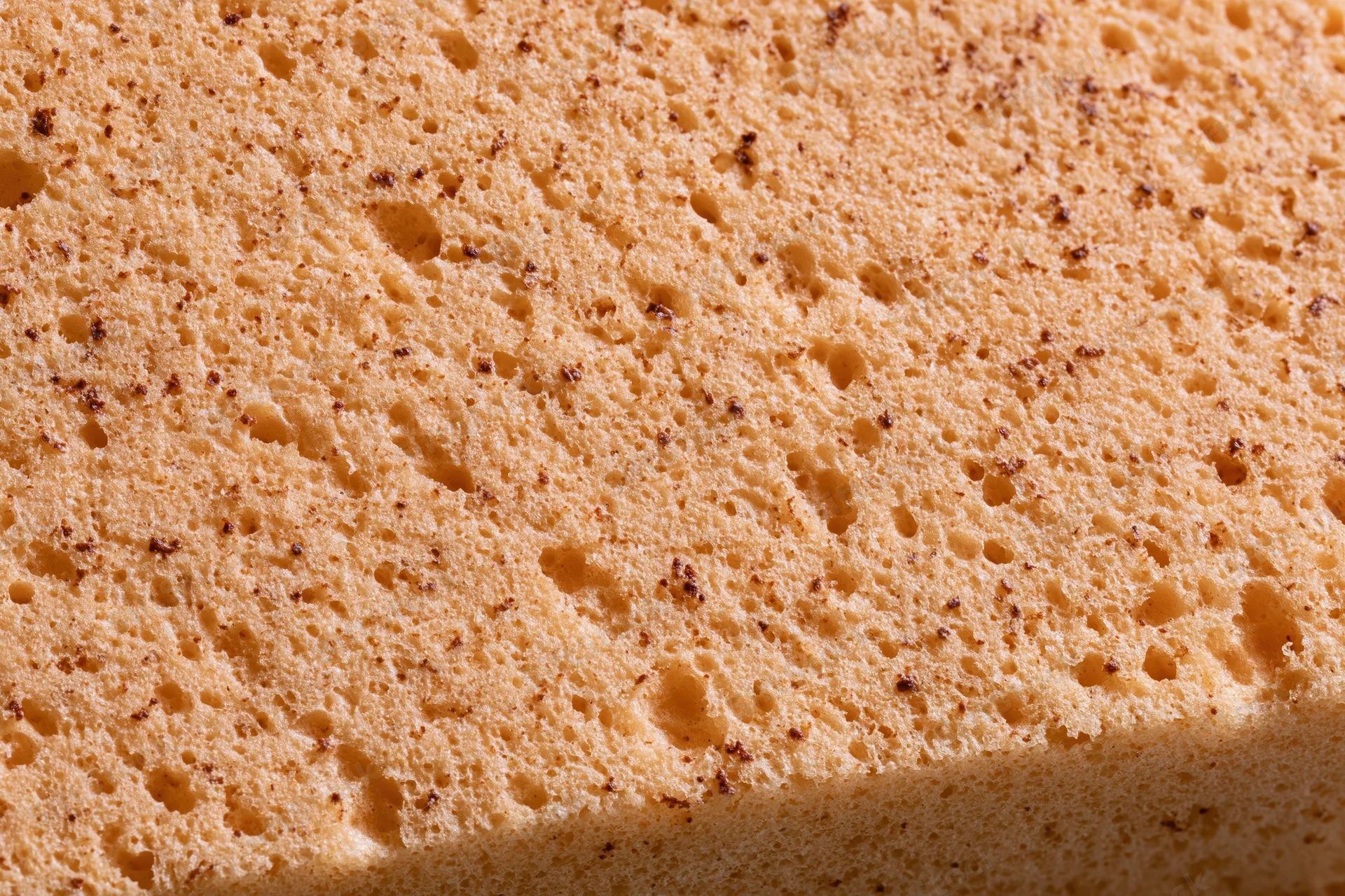Close-up of natural sponge surface texture filling the frame