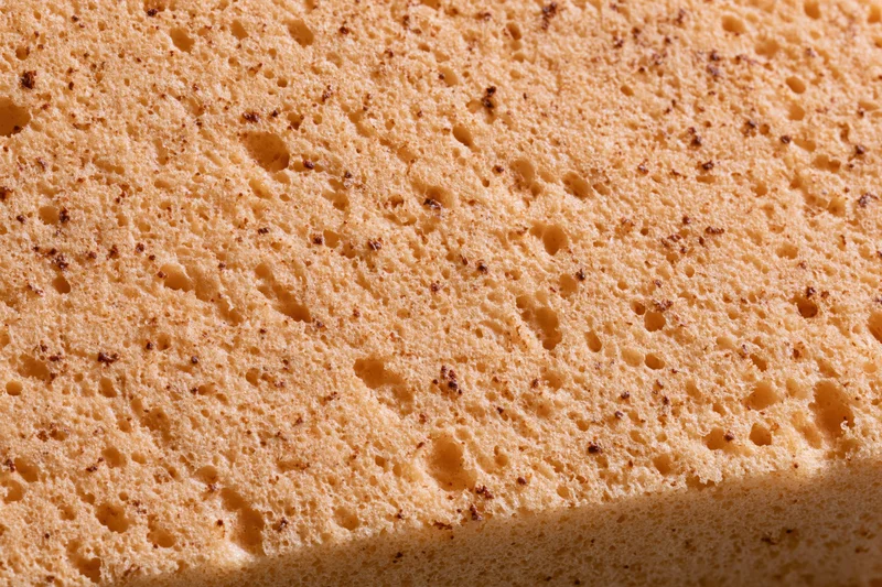 Close-up of natural sponge surface texture filling the frame
