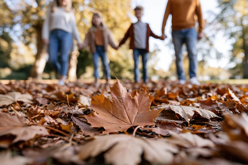Fallen maple leaves on ground with family walking in background holding hands in park
