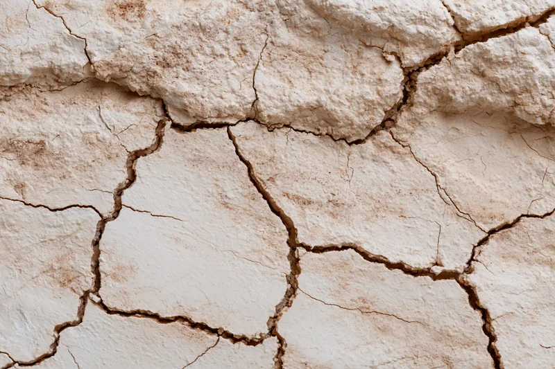 Cracked dried plaster surface showing deep fissures and fragmented texture