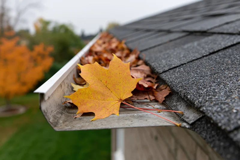 Clogged residential rain gutter filled with fallen maple leaves on a house roof during autumn