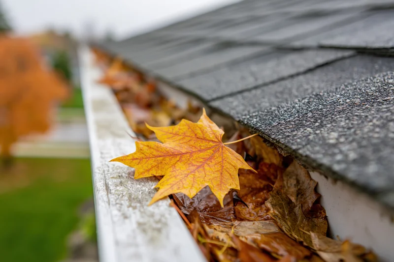 Clogged residential rain gutter filled with fallen maple leaves along roof edge