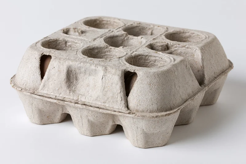 Closed six-egg cardboard carton sitting on plain white surface