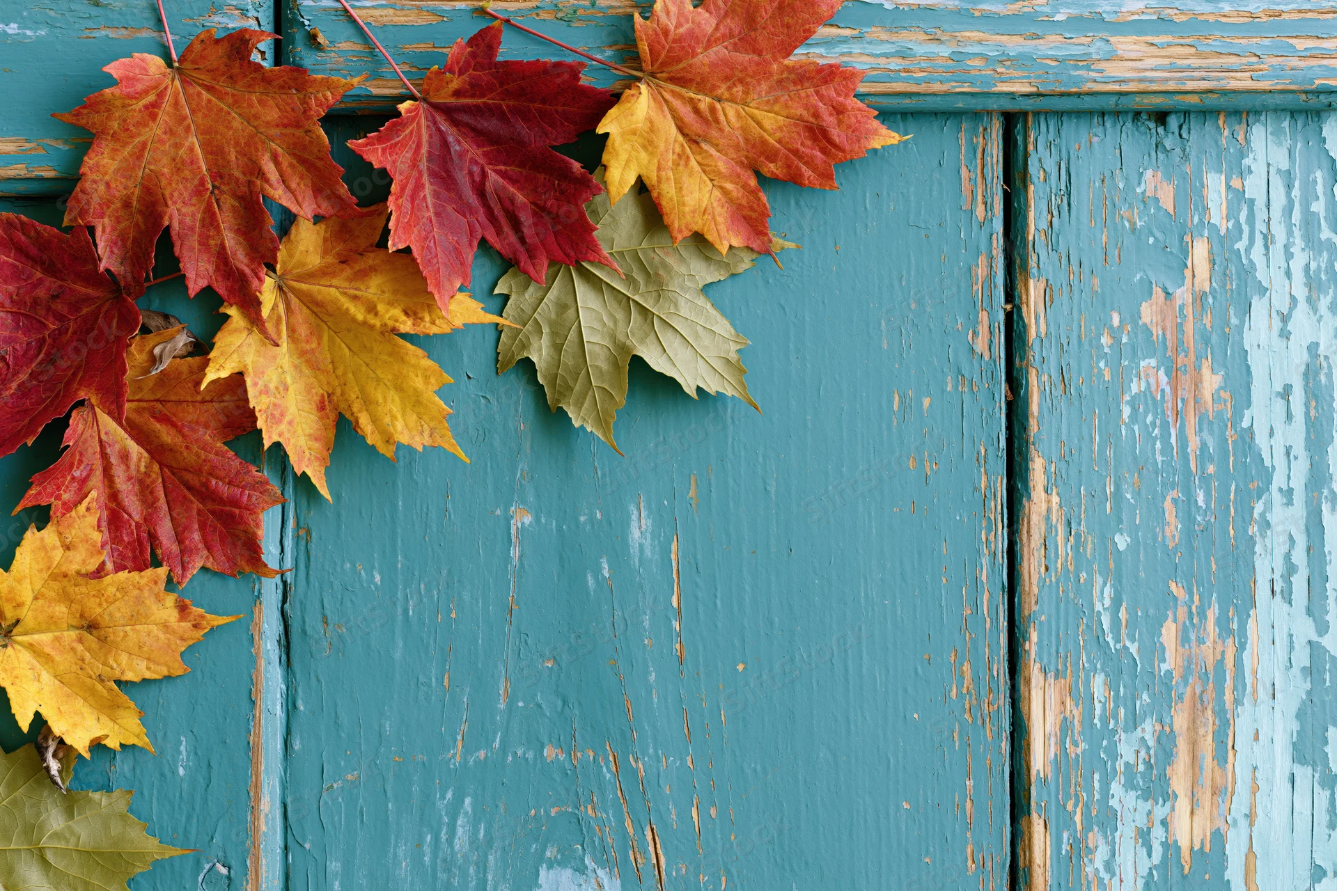 Colorful autumn maple leaves arranged along the left edge of a weathered blue wooden surface