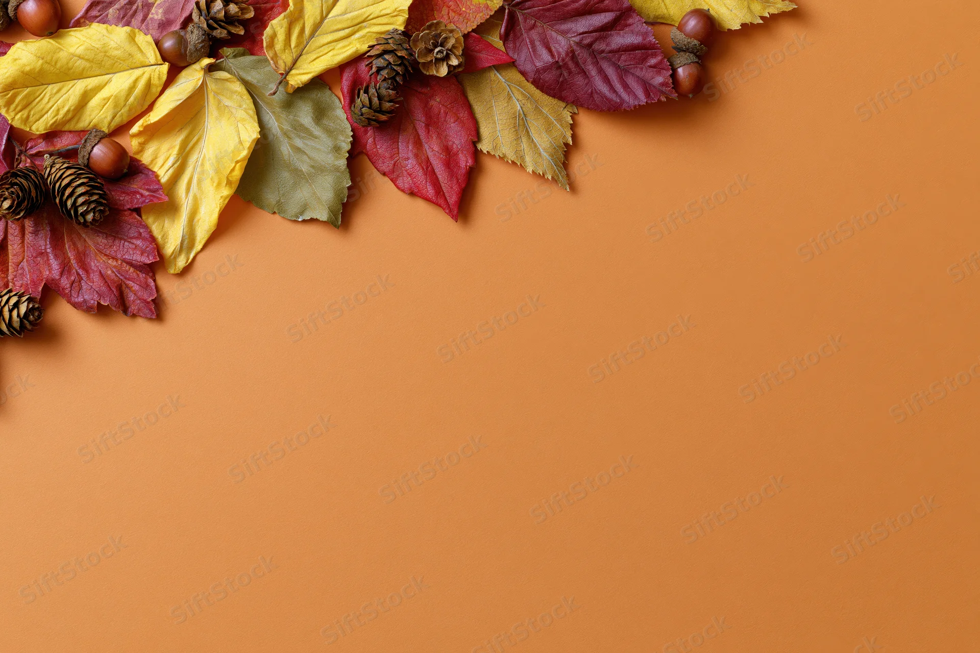 Dried autumn leaves and acorns arranged in a border along the top of an orange background