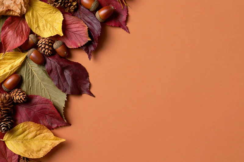 Dried autumn leaves and acorns arranged in a border on a warm orange background with copyspace