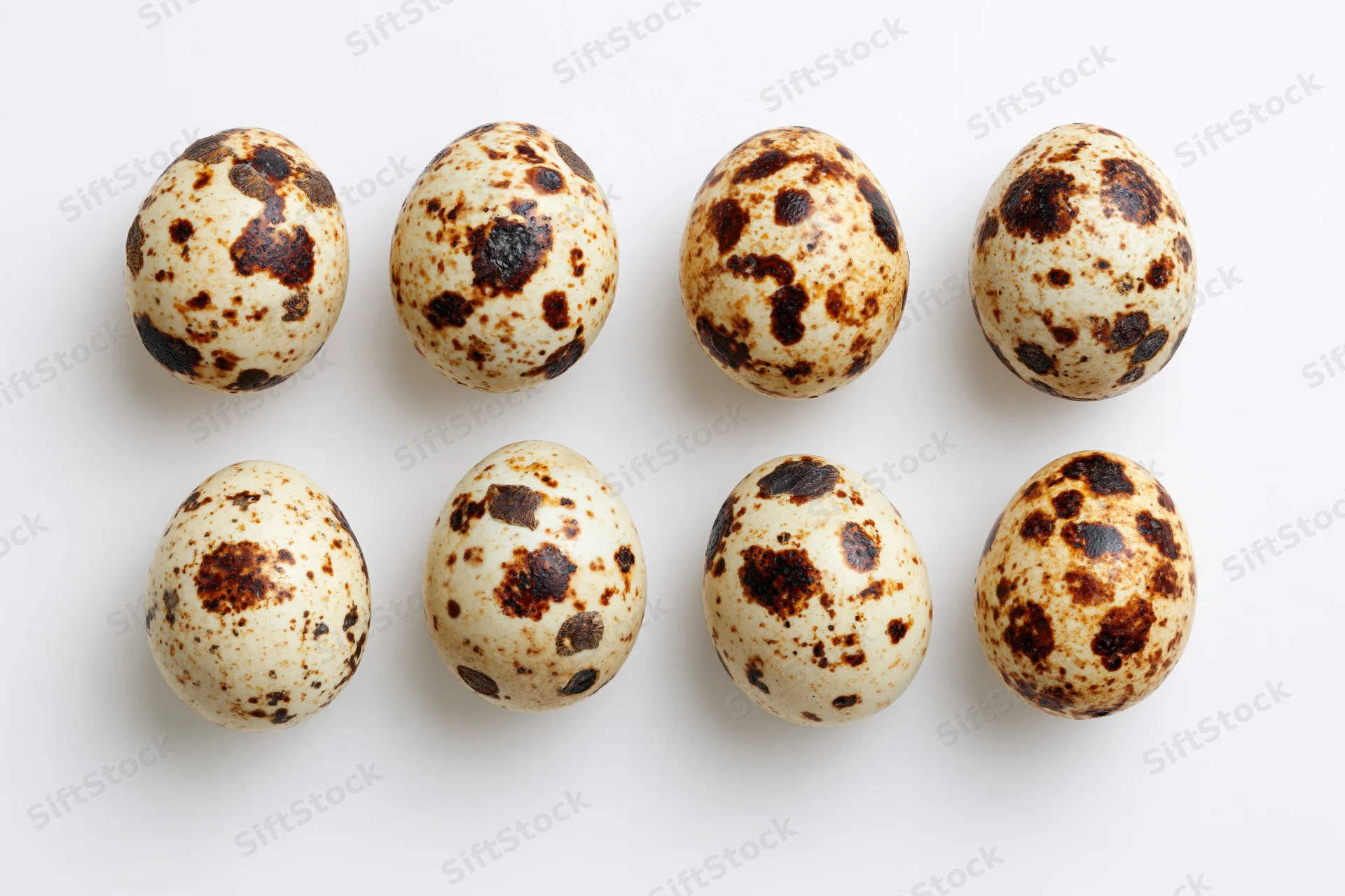 Eight quail eggs arranged in two rows on a white surface