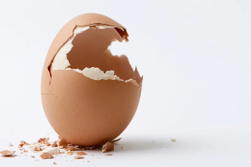 Empty cracked brown eggshell standing upright on a white surface