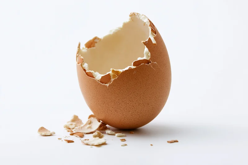 Empty cracked brown eggshell standing upright on white surface with shell fragments scattered around