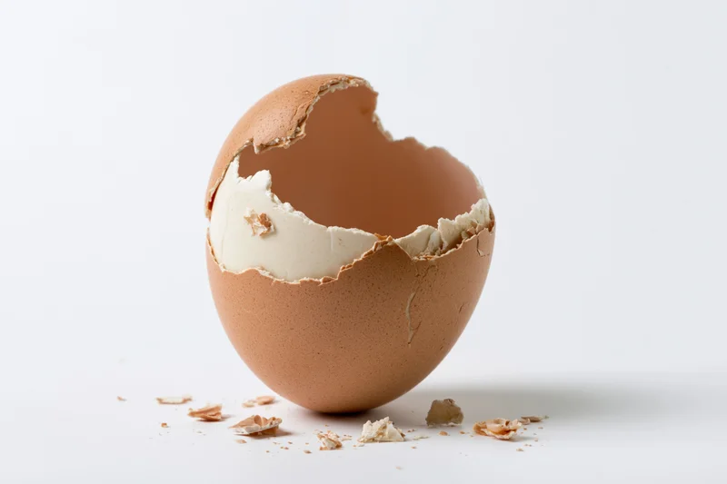 Cracked brown eggshell standing upright on white surface with shell fragments scattered around
