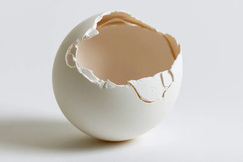 Cracked white eggshell with top broken open hollow on plain white surface