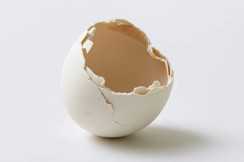Cracked white eggshell with top broken open, hollow interior on plain white surface