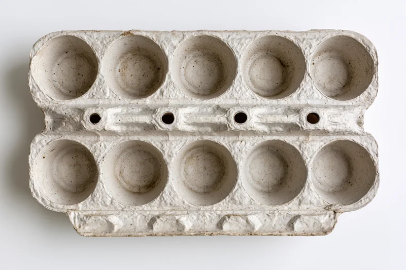 Empty twelve-cup recycled cardboard egg carton lying open on white surface