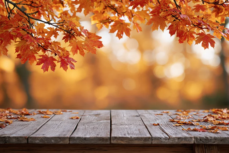 Weathered wooden plank surface framed by autumn maple leaves with bokeh background and copyspace