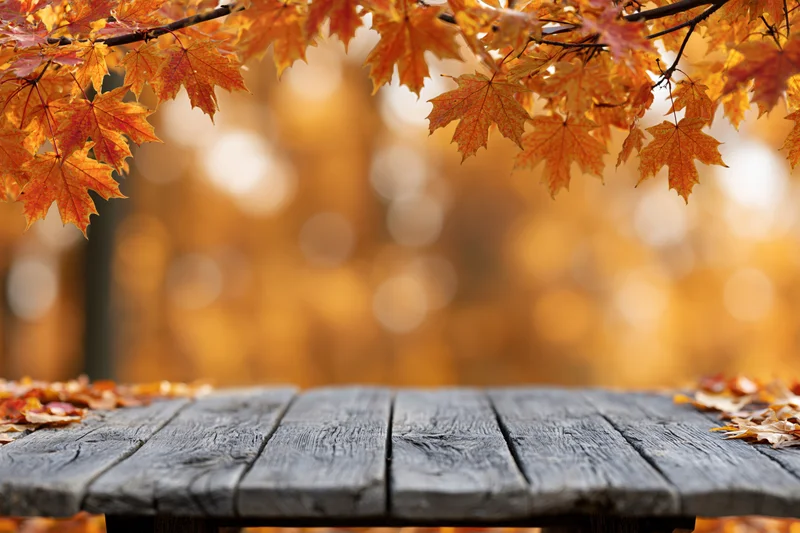 Weathered wooden plank surface framed by autumn maple leaves with bokeh background and copyspace