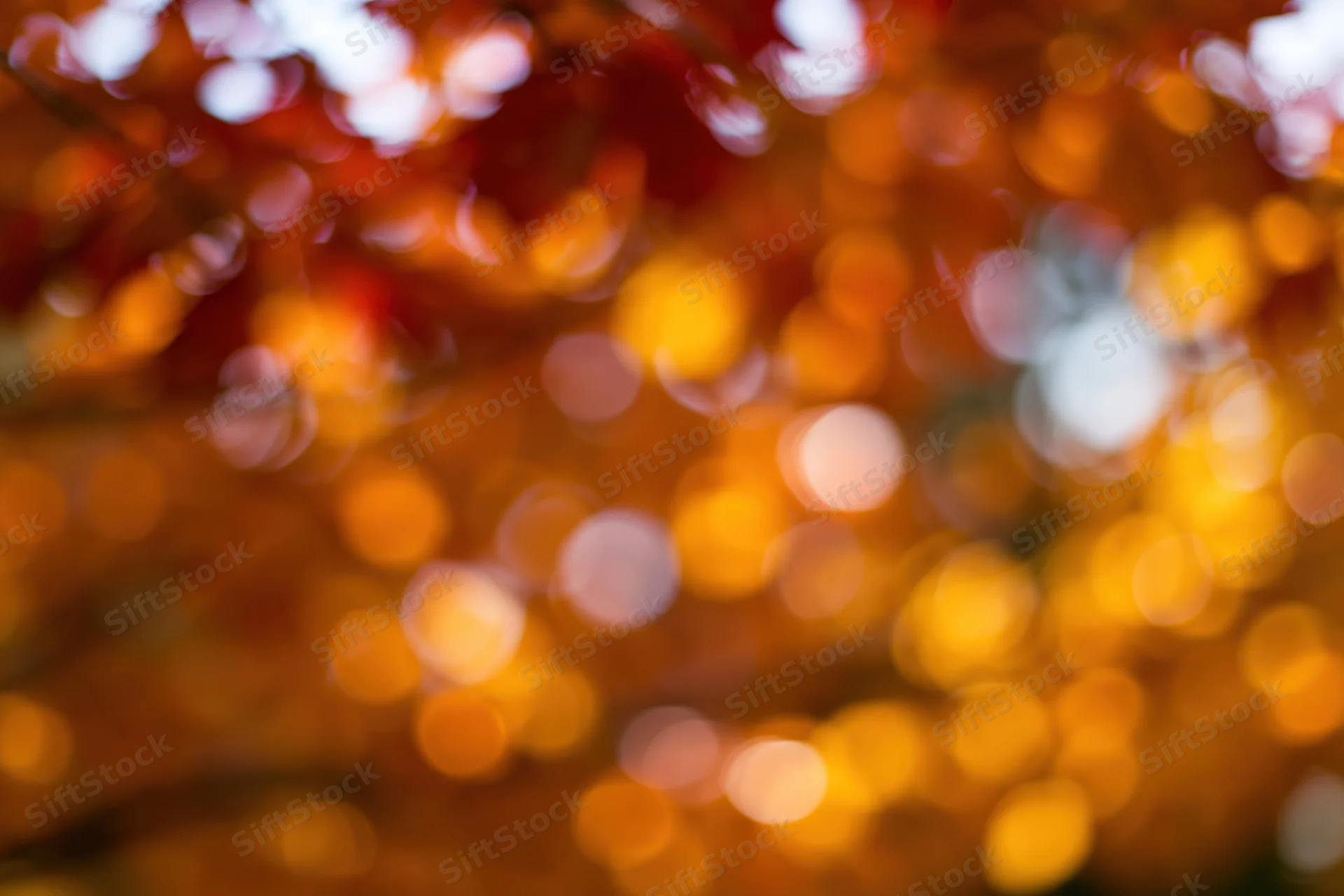 Abstract bokeh of autumn foliage with warm glowing circles of light in soft focus