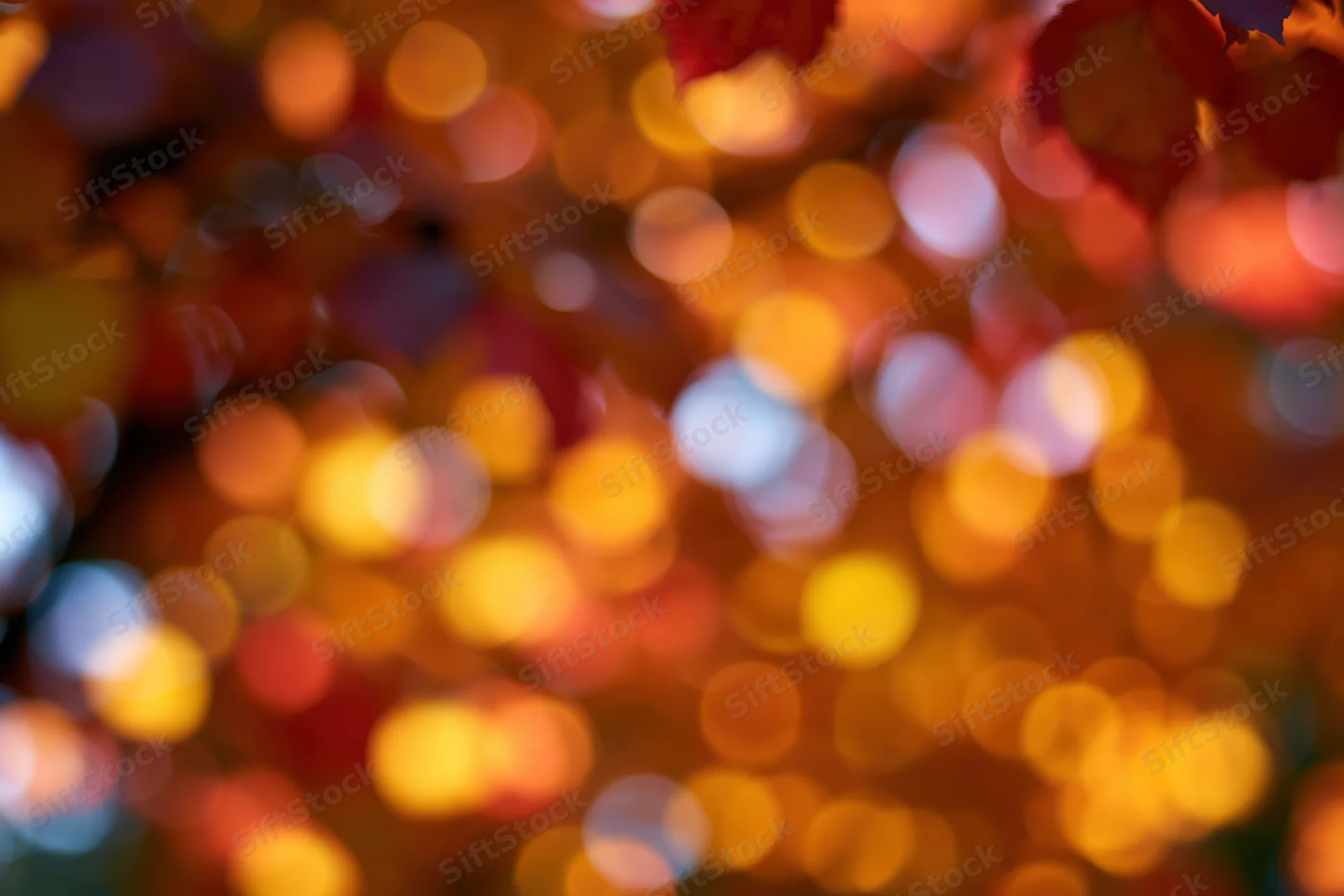 Abstract bokeh of autumn foliage with warm glowing circles in soft focus