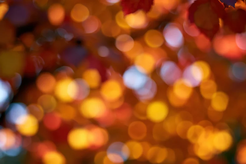Abstract bokeh of autumn foliage with warm glowing circles in soft focus