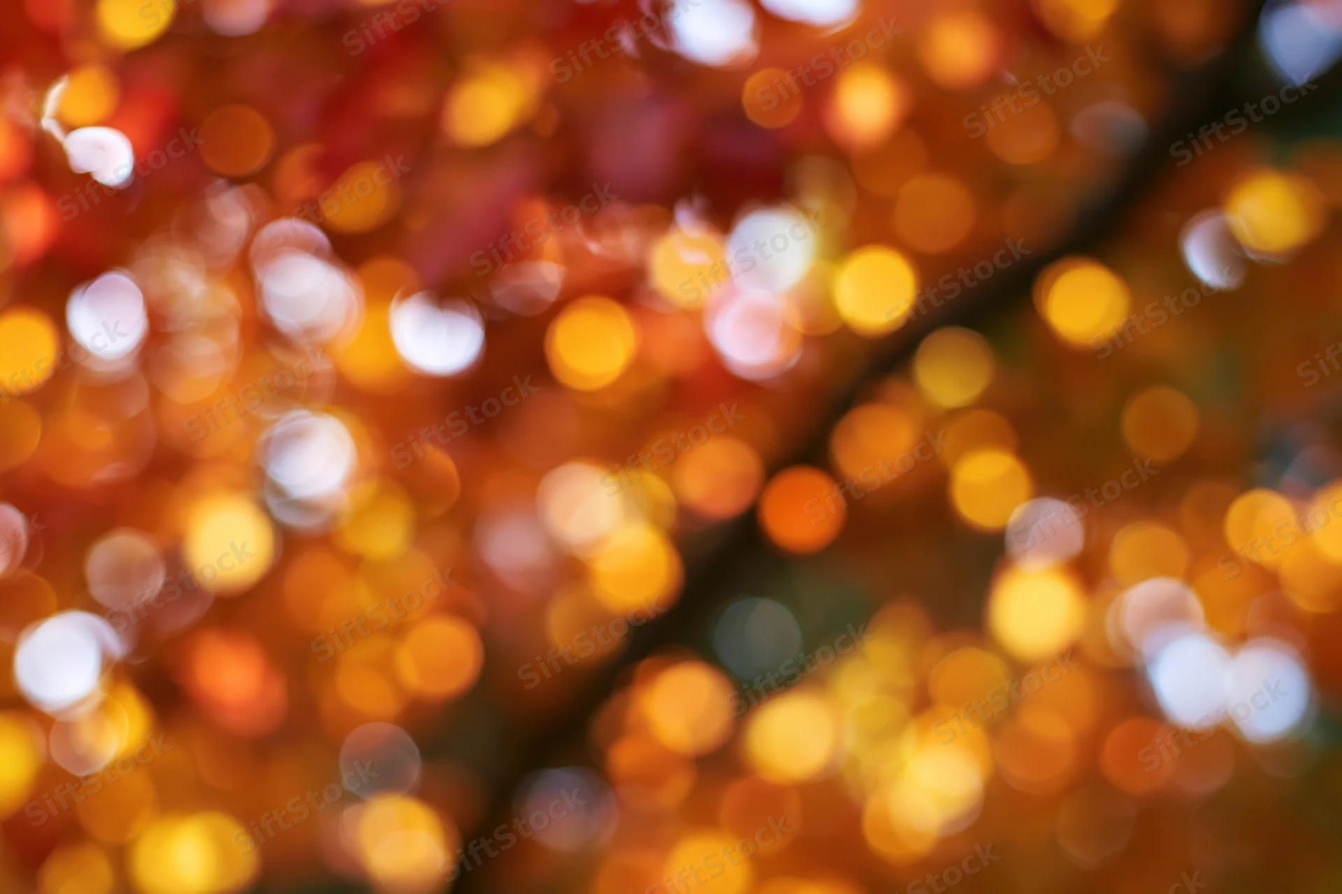 Abstract bokeh of autumn foliage with warm glowing lights and blurred leaves in fall colors