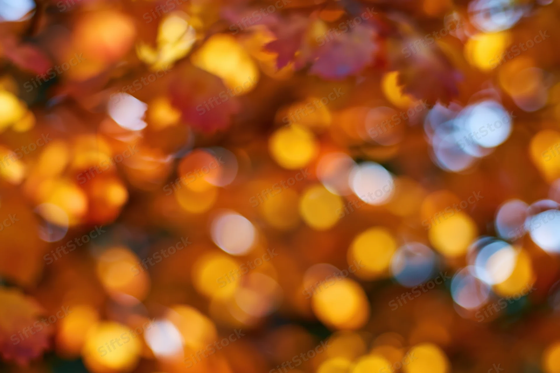 Abstract bokeh of autumn foliage with warm glowing lights and blurred leaves in fall colors