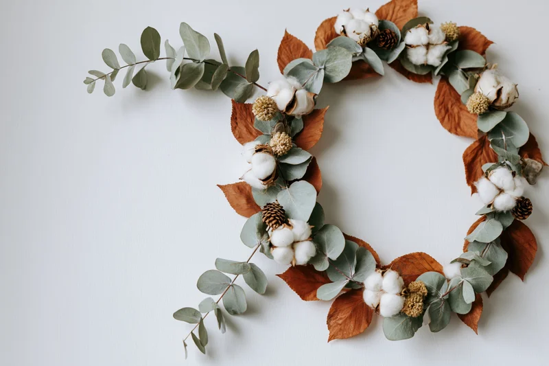Flat lay arrangement of eucalyptus branches and dried cotton boll on white background
