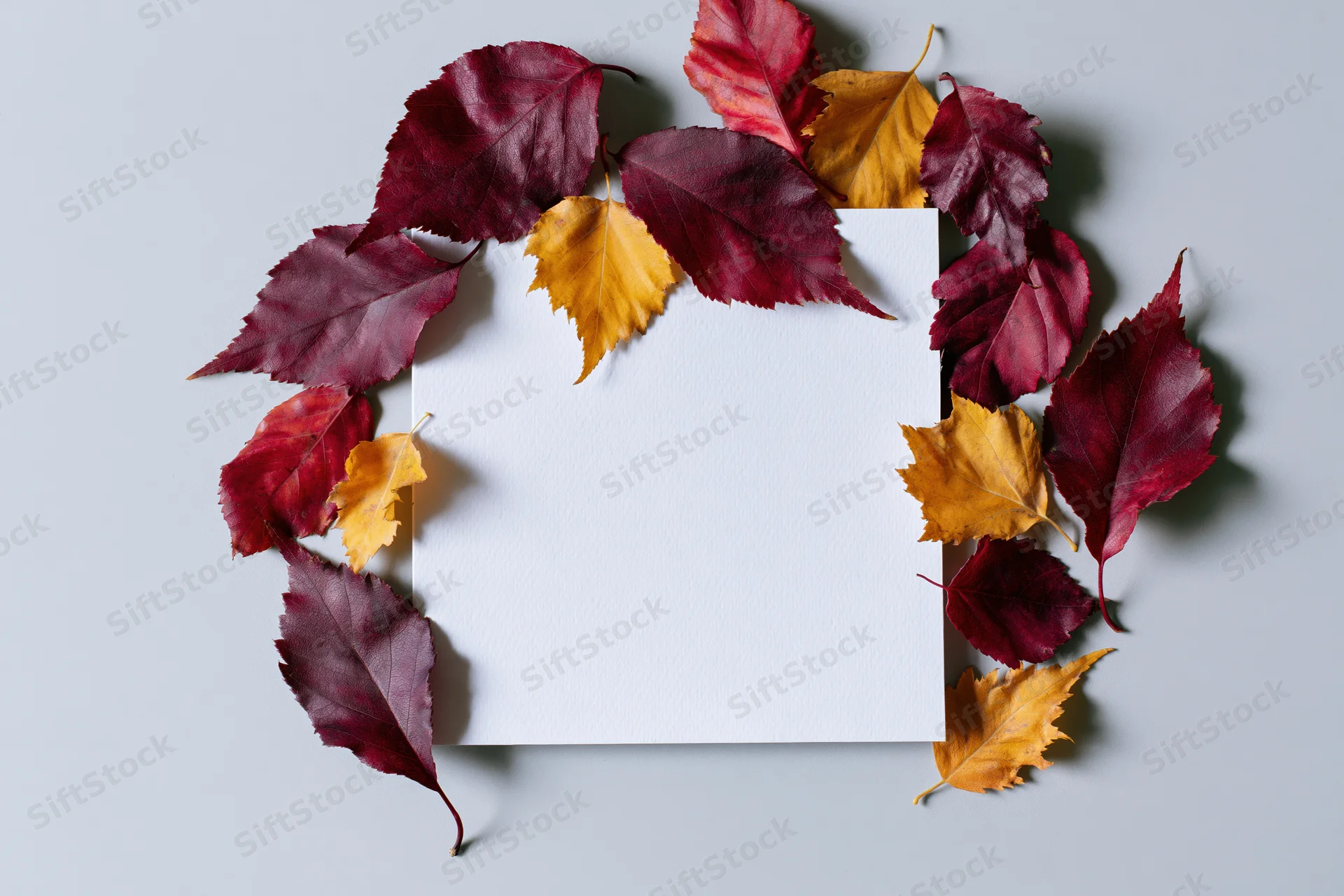 Blank white square card surrounded by autumn leaves arranged in a circular frame on a light surface