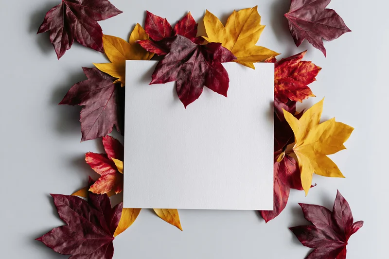 Blank white card centered on gray surface surrounded by autumn maple leaves in red, yellow, and burgundy hues arranged in a border frame