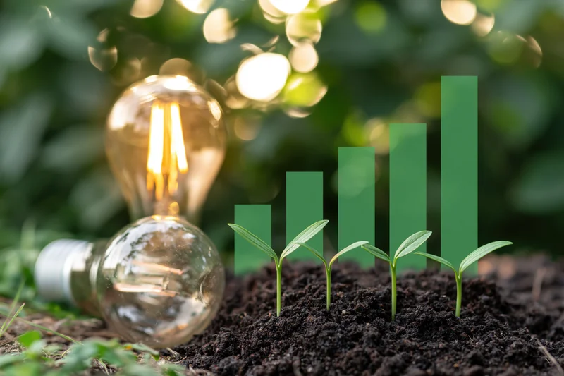 Four small green seedlings sprouting from dark soil in a row with a glowing lightbulb and a rising bar graph in the background