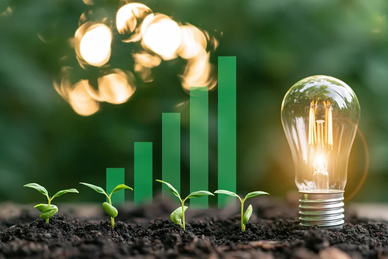 Four small green seedlings sprouting from dark soil in a row with a glowing lightbulb and green bar graph in the background