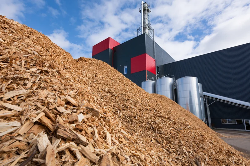 Large mound of wood chip biomass fuel in front of industrial energy plant