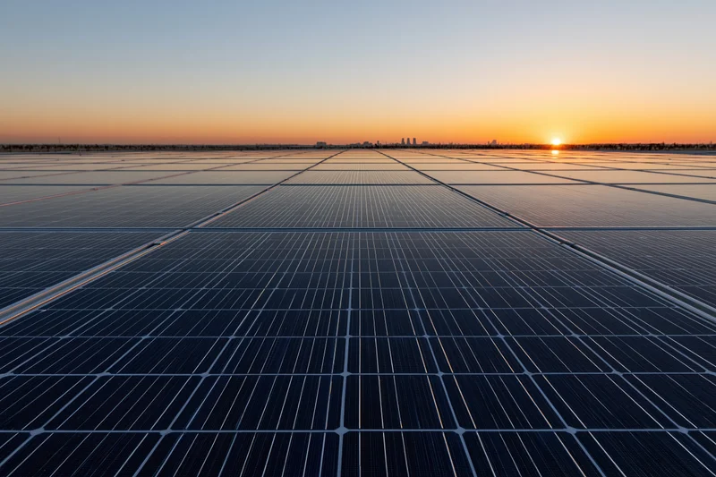 Large solar panel array stretching to the horizon at sunset with city skyline in distance