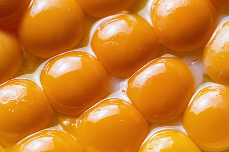 Multiple raw egg yolks closely packed in a bowl with visible egg white surrounding them