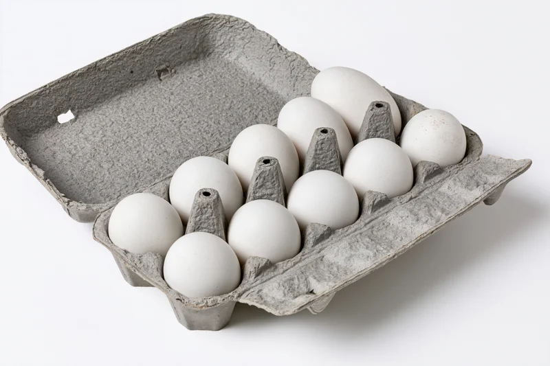 Open gray recycled cardboard egg carton holding ten white eggs