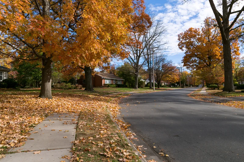 Quiet residential street lined with mature trees in autumn, leaves covering pavement and sidewalks, homes visible along the road