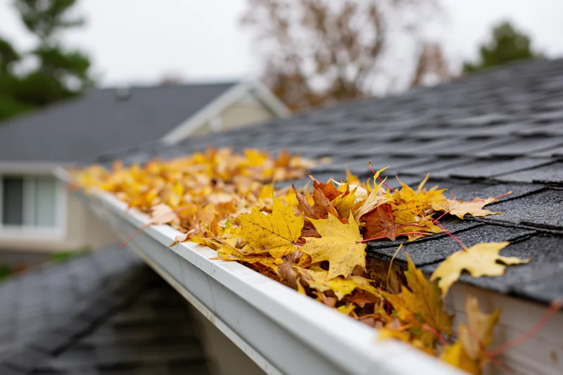 Autumn leaves clogged in white rain gutter on dark shingled roof of residential house