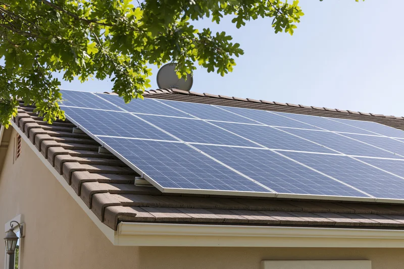 Solar panels installed on a residential rooftop with tree foliage overhead