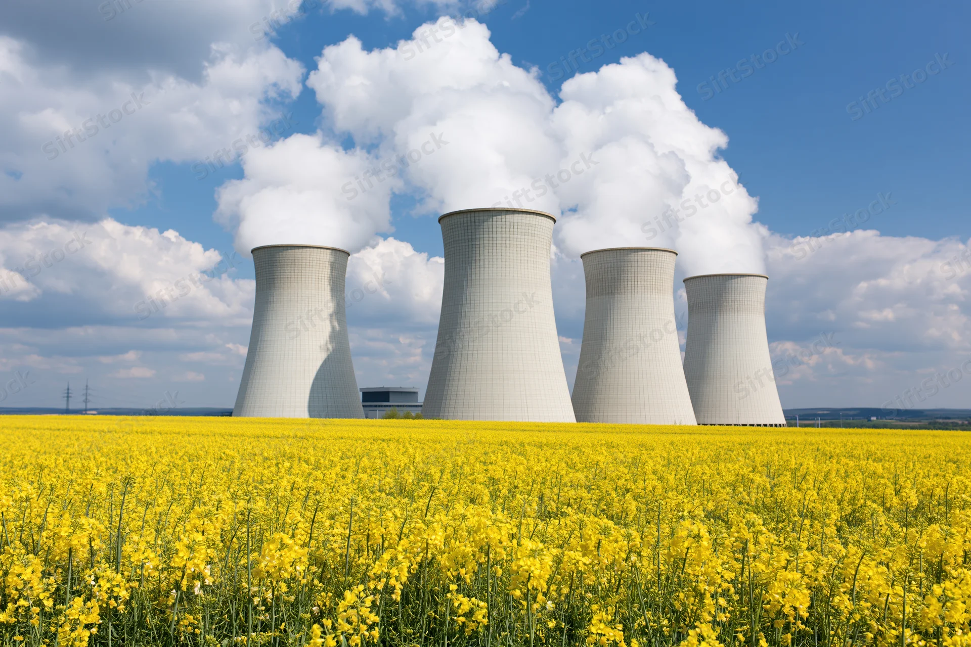 Row of concrete cooling towers emitting steam at a nuclear power plant surrounded by a yellow canola field under a blue sky with clouds